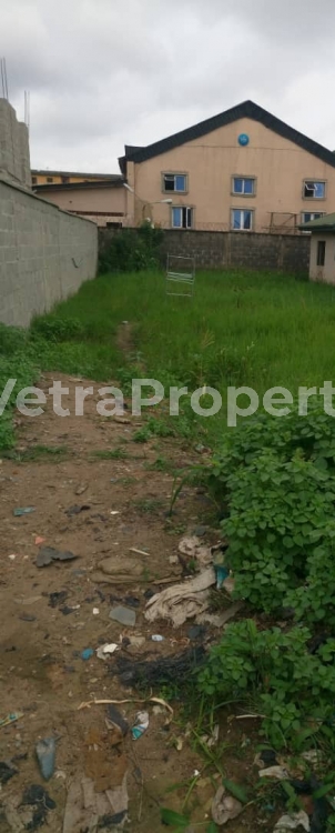  Half plot of dry Land  Land for Sale Isolo Lagos Vetra  Property