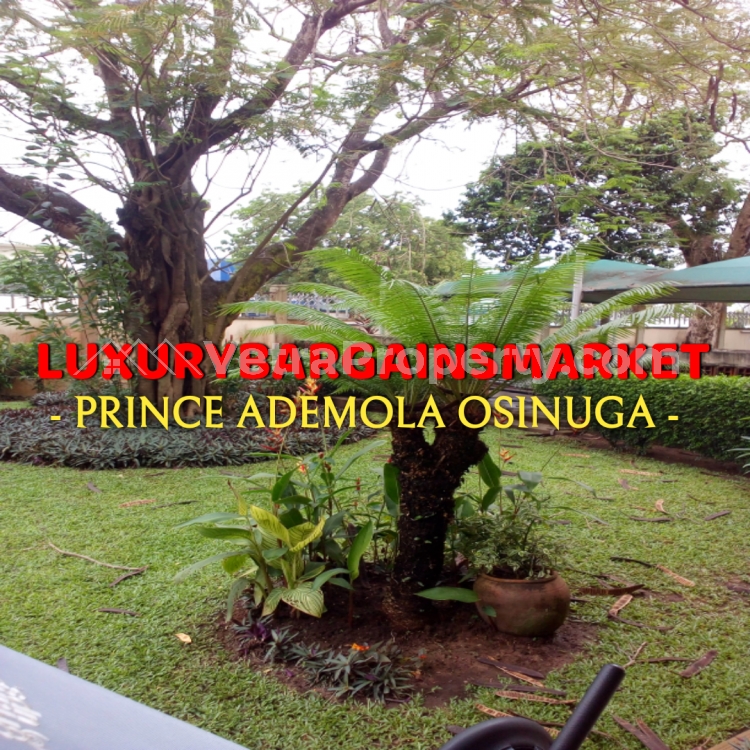  PRINCE ADEMOLA OSINUGA OFFERS! THIS IS CURRENTLY THE CHEAPEST SELF SERVICED DETACHED HOUSE + PRIVATE GARDEN IN CENTRAL IKOYI @N17.5M!  5 bedroom House for Rent Ikoyi Lagos Vetra  Property
