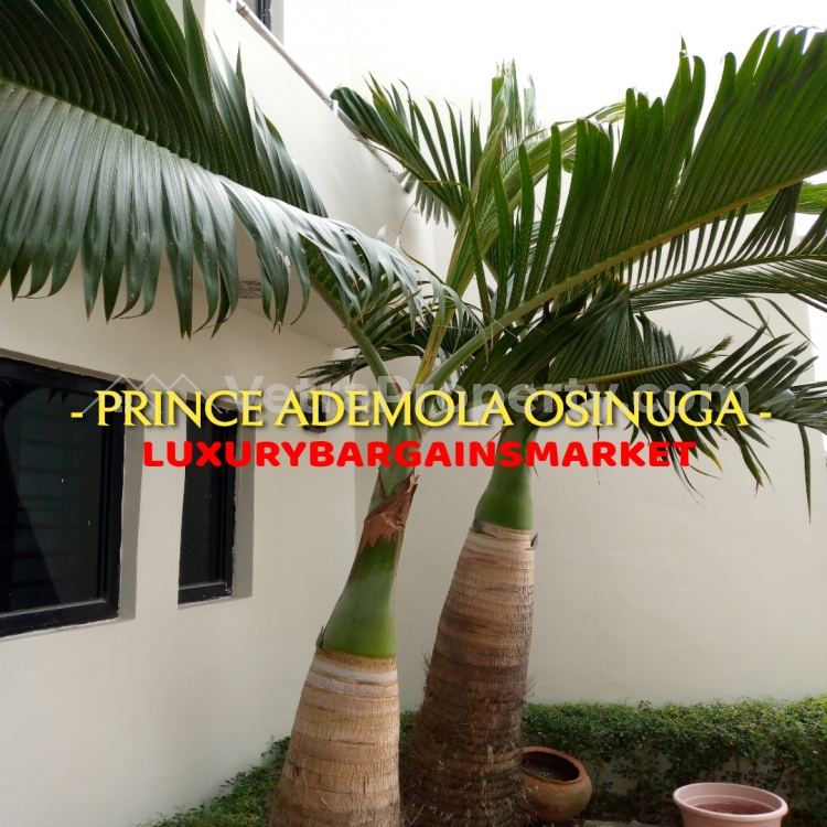 Image 1 Title