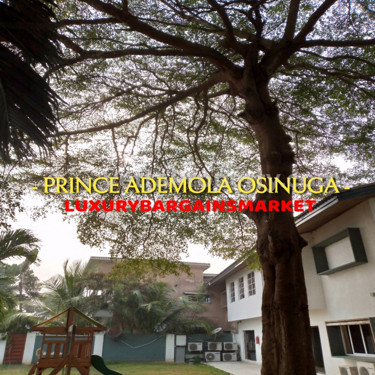 Image 1 Title