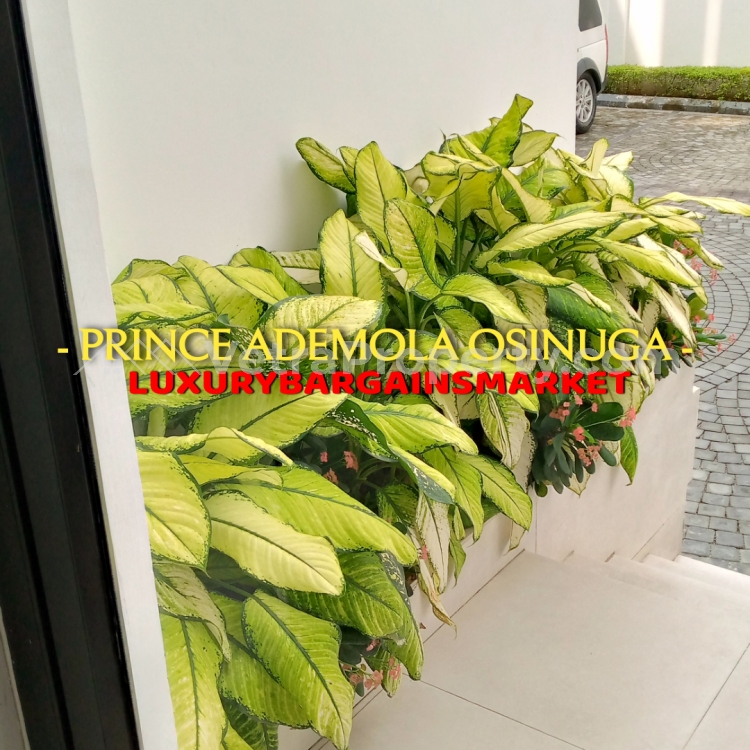 Image 1 Title