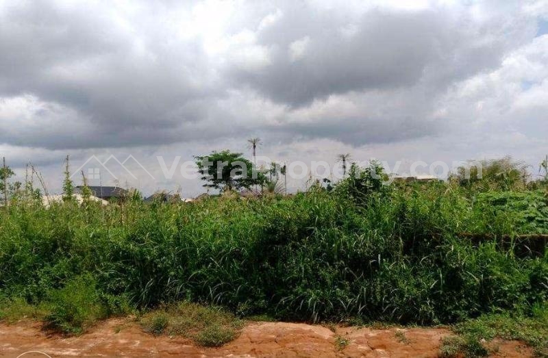  Strategic Located Land 100 by 100 for Sale at Ebo Gra, Before Arougba  Land for Sale Oredo Edo Vetra  Property