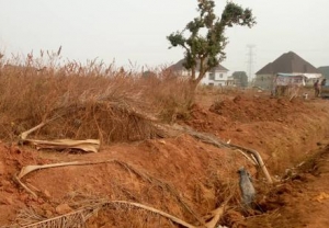 1500sqm Commercial Land 1,500 Meter Square of Land for Sale Gwarinpa Abuja Vetra  Property