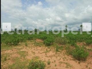  10 hectares mass housing Sabon gida fcda R of 0  Land for Sale Kado Abuja Vetra  Property