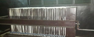 Image 1 Title
