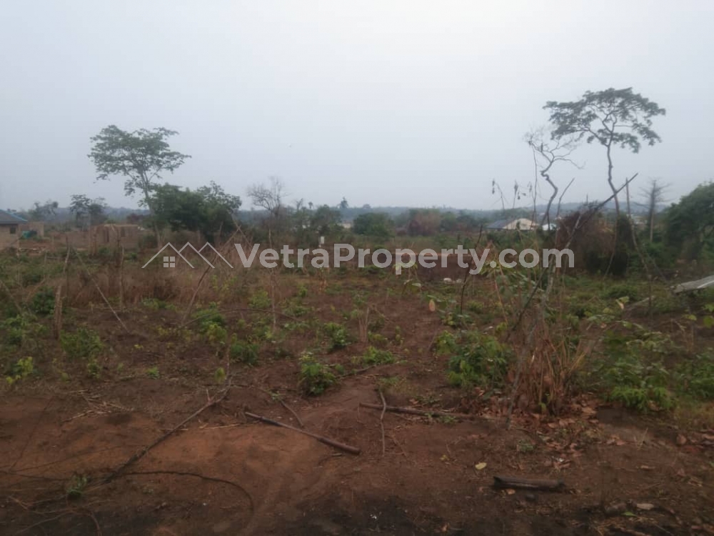  Two And Half Plots of Land  Land for Sale Ibadan Oyo Vetra  Property