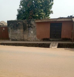 Image 1 Title