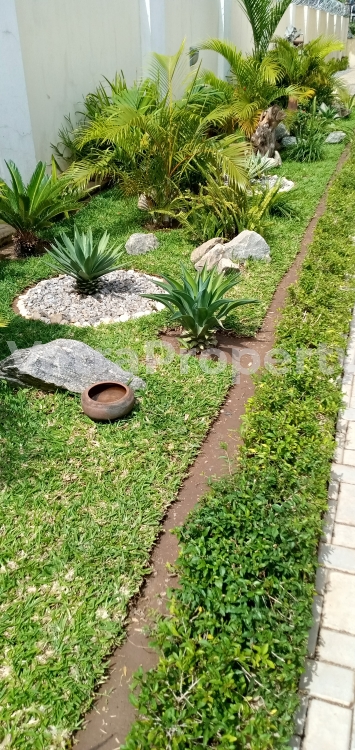 Image 1 Title