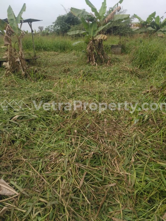  A PLOT OF LAND FOR SALE AT IBESHE ROAD WITH C OF O  Land for Sale Ikorodu Lagos Vetra  Property