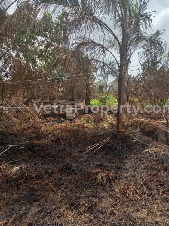  Land for sale at cowrie creek Ikate lekki phase 1  Land for Sale Lekki Lagos Vetra  Property