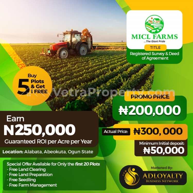  Affordable Farmland Investment at MICL Farm, Alabama, Abeokuta, Ogun state  Land for Sale Abeokuta Ogun Vetra  Property