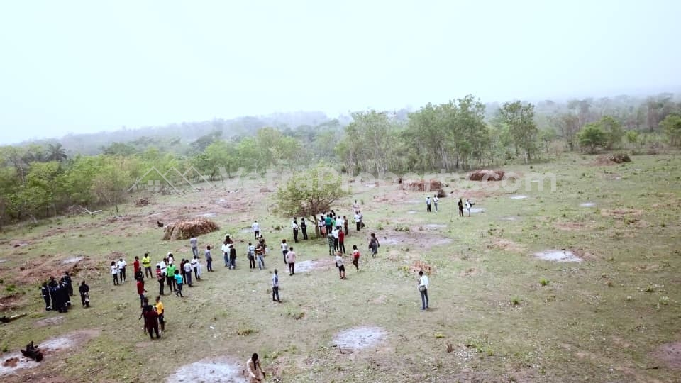 Image 1 Title