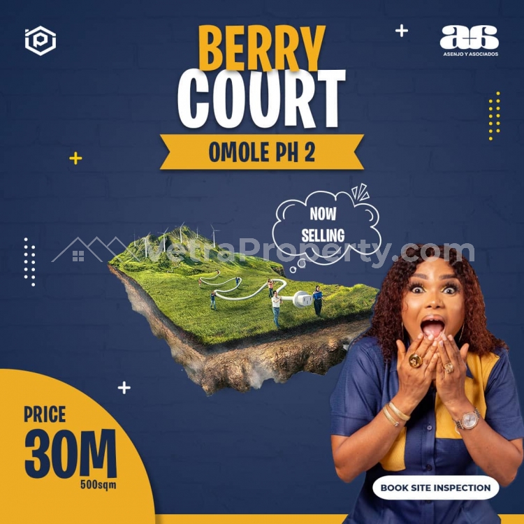  Berry Court Omole phase 2 Extension  Land for Sale Ojodu Lagos Vetra  Property
