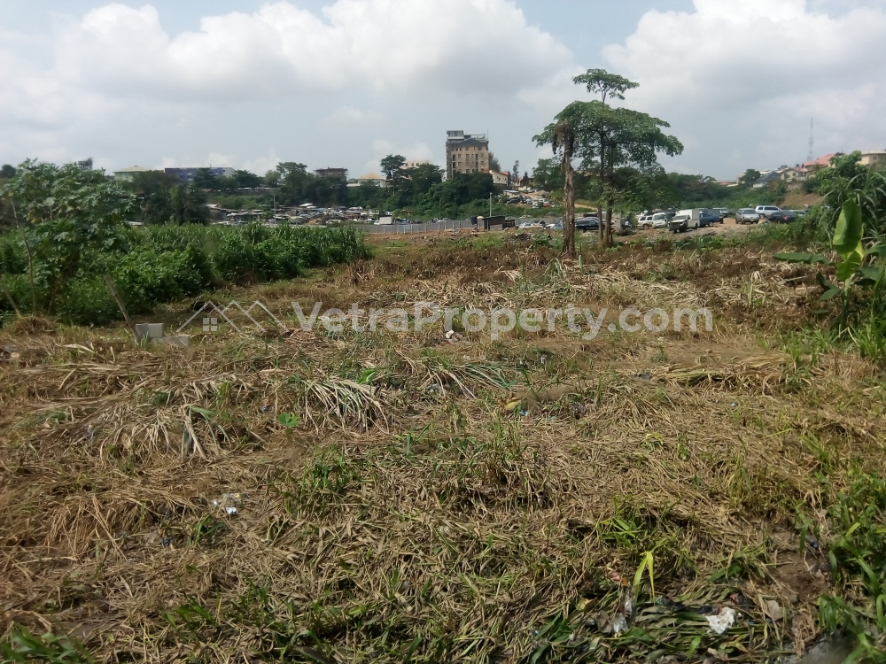  1650m2 Two Plots of Land @ Omole Phase 1 Extension  Land for Sale Ojodu Lagos Vetra  Property