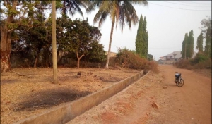 Image 1 Title