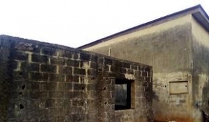 Image 1 Title