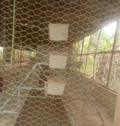 Image 1 Title
