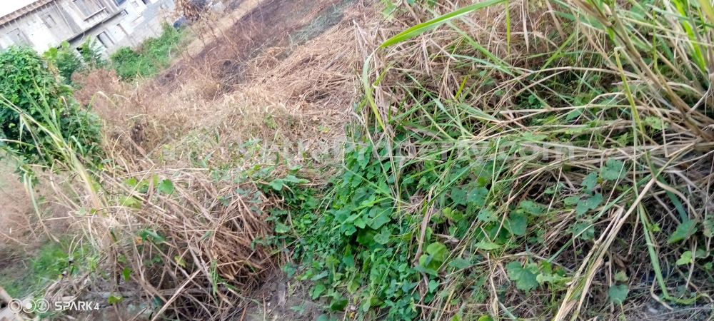  Standard plot of Land  Land for Sale Obafemi Owode Ogun Vetra  Property