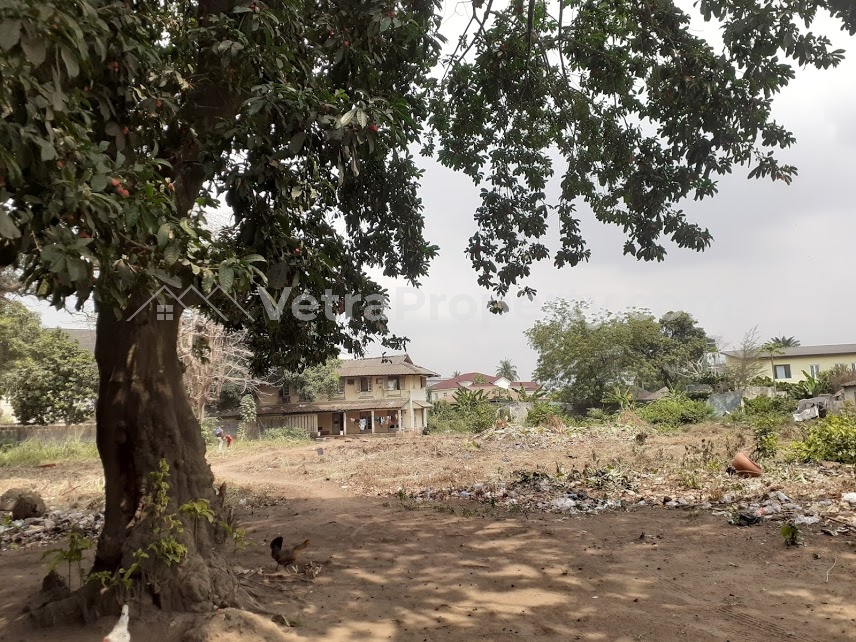 Image 1 Title