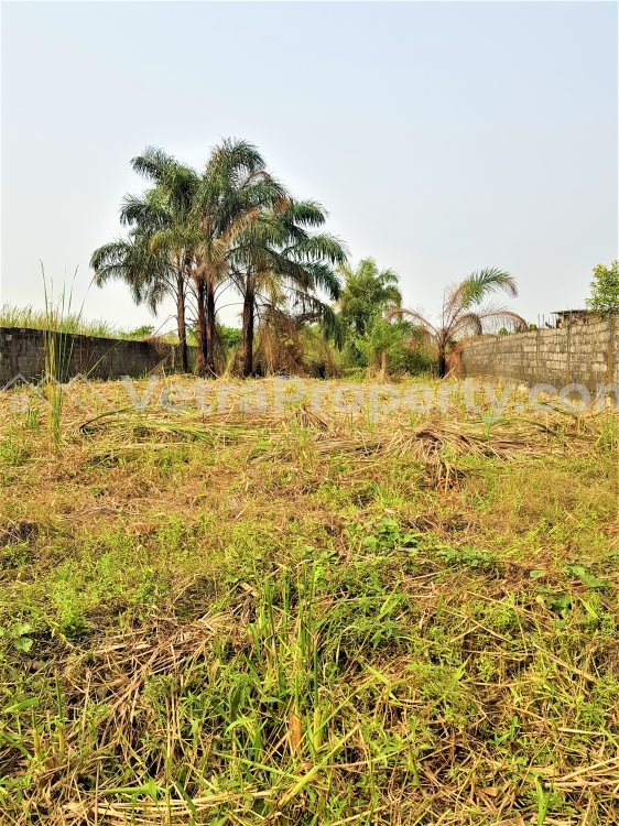  1 Plot of Fenced Dry Land Measuring 690 Square Metres  Land for Sale Ajah Lagos Vetra  Property