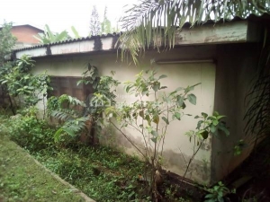 Image 1 Title
