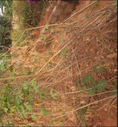 A Plot Measuring 48 By 87 For Sale 1 Plot of Land for Sale Ika South Delta Vetra  Property