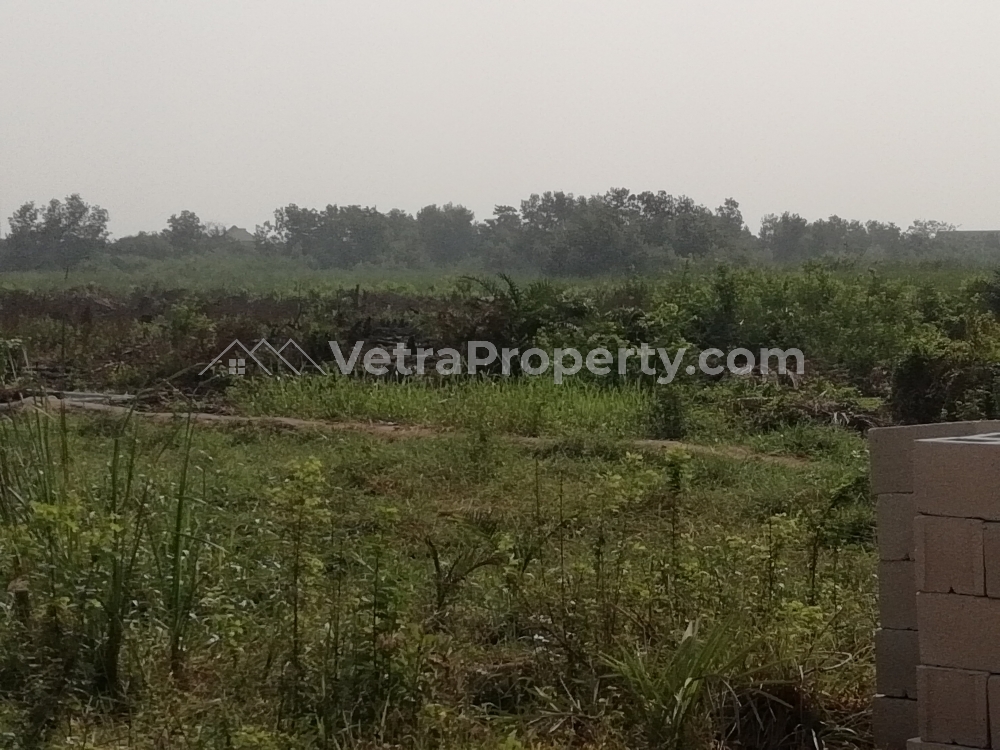  Mixed-use Land on One Acre  Land for Sale Aniocha South Delta Vetra  Property