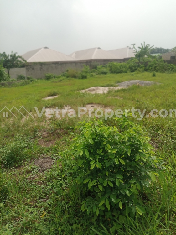  A dry land measuring over 2000sqm at igbogbo area ikorodu Lagos  Land for Sale Ikorodu Lagos Vetra  Property