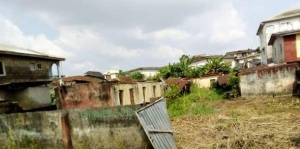 One Plot Of Land 1 Plot of Land for Sale Alimosho Lagos Vetra  Property