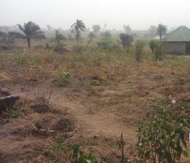 Residential Land 100sqm 100 Meter Square of Land for Sale Makurdi Benue Vetra  Property