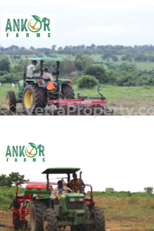  Farmland for Agricultural use in good Location  Land for Sale Ibadan Oyo Vetra  Property