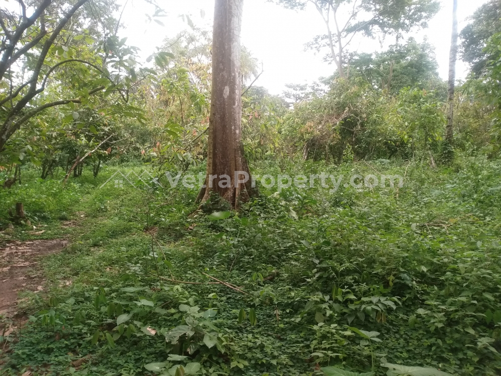  Plots of land  Land for Sale Akure Ondo Vetra  Property