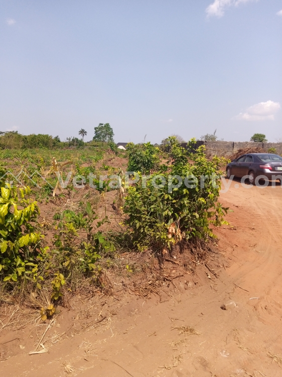  Table land 100/100  Land for Sale Asaba Delta Vetra  Property