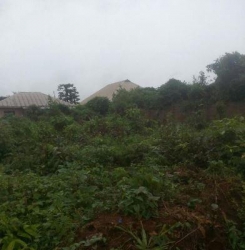 2 Plots Of Mixed Use Land 2 Plots of Land for Sale Abeokuta Ogun Vetra  Property