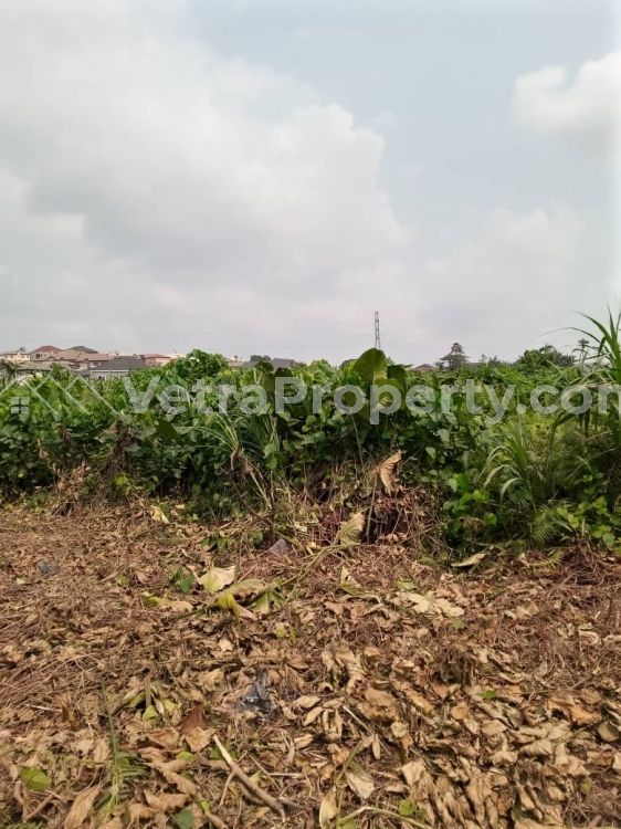  12 Acres of Land in one IRA  Land for Sale Ogba Lagos Vetra  Property