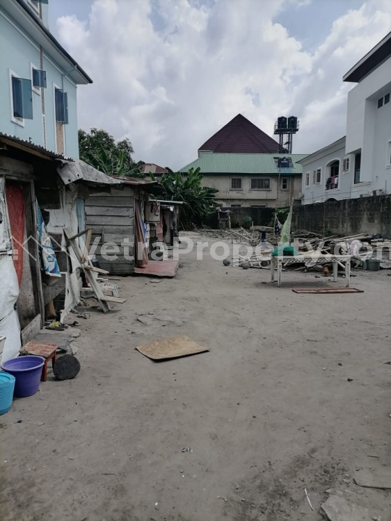 Image 1 Title