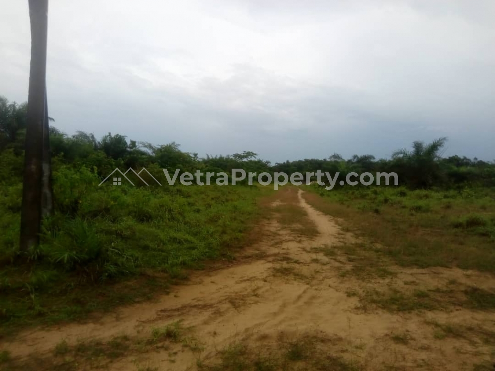  Dry land in a developed estate  Land for Sale  Lagos Vetra  Property