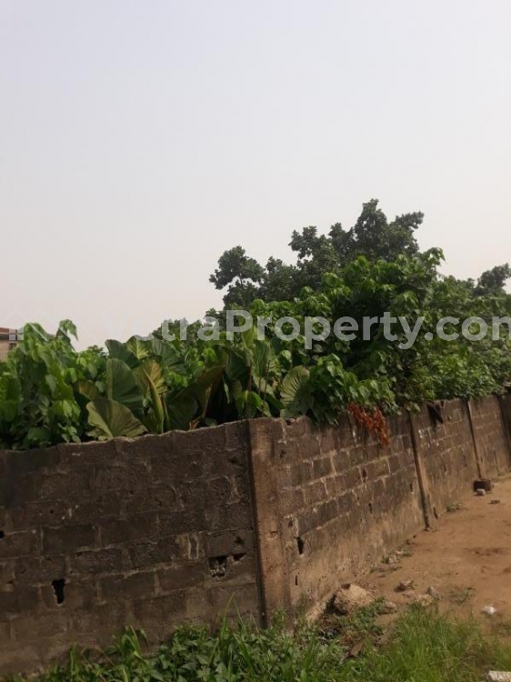  Cornerpiece half plot available in a secured and serene environment  Land for Sale  Lagos Vetra  Property