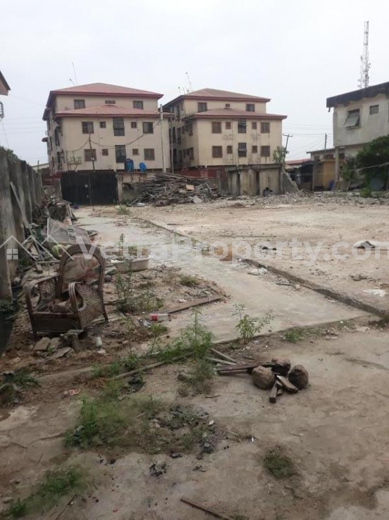  Super Solid Dry Bareland in a Serene & Secured Environment with Cofo  Land for Sale  Lagos Vetra  Property
