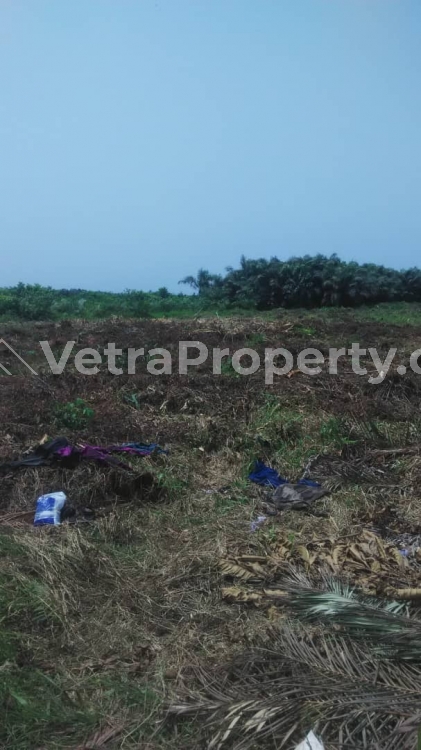 Land sales {131 Estate ibeju lekki}  Land for Sale Ibeju Lekki Lagos Vetra  Property