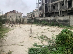 Residential Land 2 Plots of Land for Sale Ajah Lagos Vetra  Property