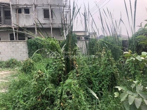 Image 1 Title