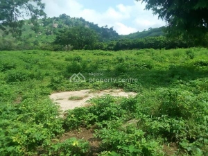 Land Land for Sale Wuye Abuja Vetra  Property