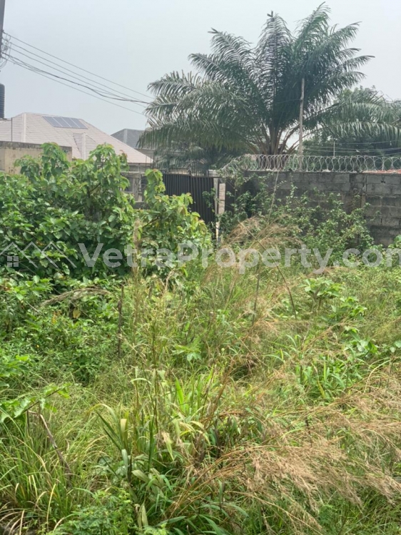  1350 sqm of dry land  Land for Sale Ajah Lagos Vetra  Property