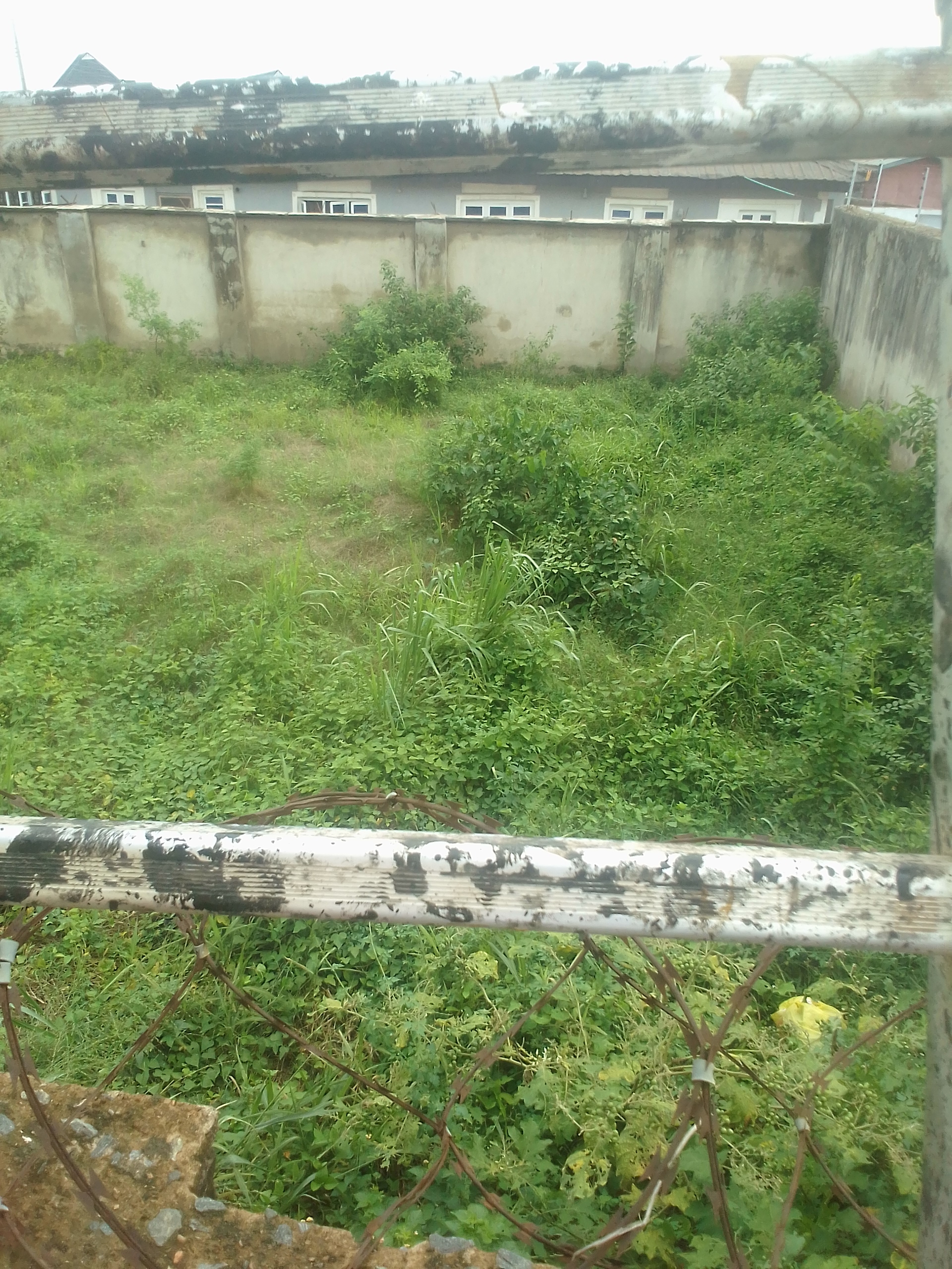 Image 1 Title
