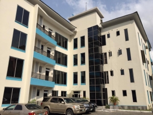 Well Furnished 2-bedroom Flat 2 bedroom Flat for Short let Lekki Lagos Vetra  Property