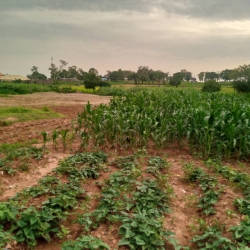 Land For Sale In Kaduna 4 Plots of Land for Sale Kaduna South Kaduna Vetra  Property