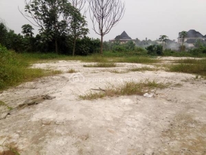 Mixed-use Land Land for Sale Uvwie Delta Vetra  Property
