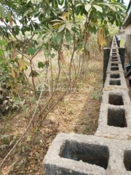 Mixed-use Land Land for Sale Agege Lagos Vetra  Property