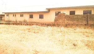 Image 1 Title